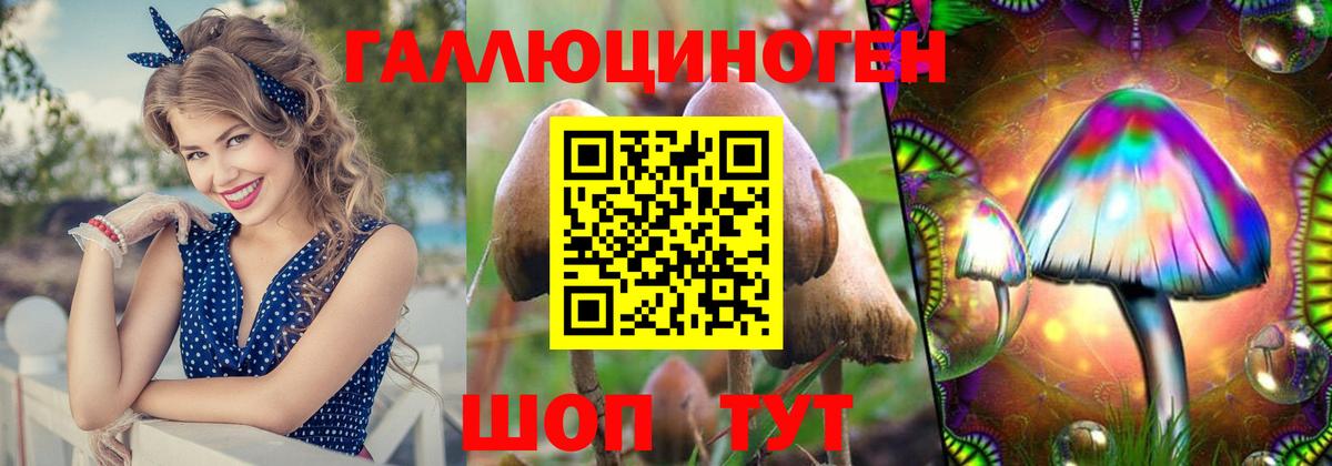 Псилоцибиновые грибы Psilocybine cubensis  Вход с VPN  Галлюциногенные грибы MAGIC MUSHROOMS  Вышний Волочёк 
