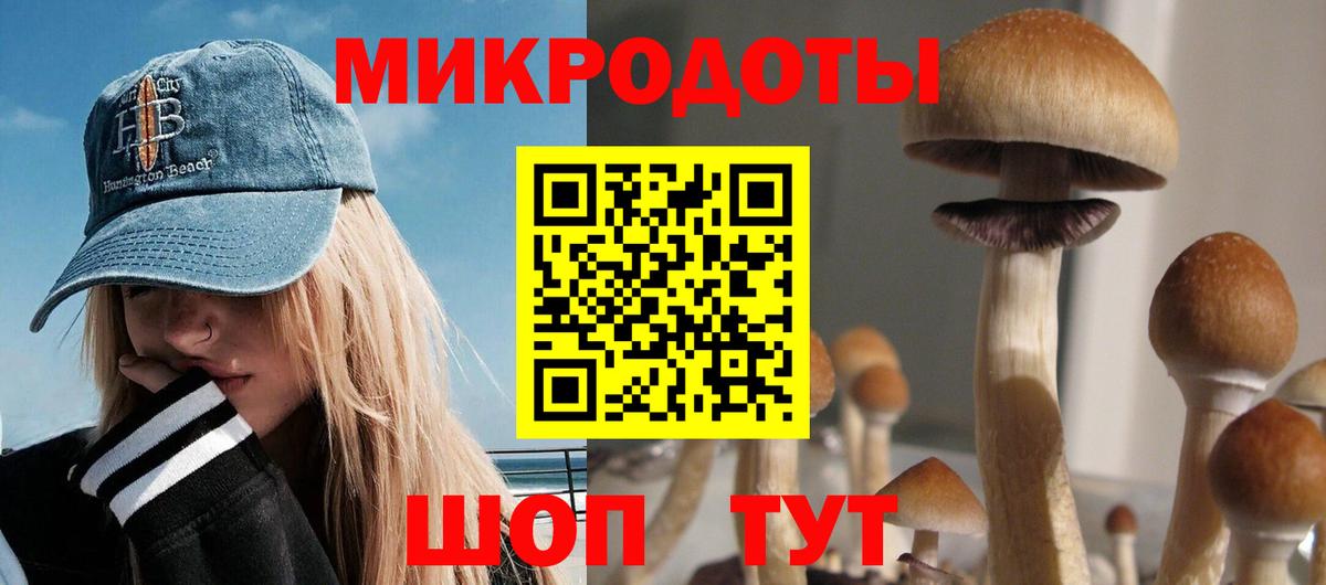 Галлюциногенные грибы Psilocybine cubensis Вышний Волочёк